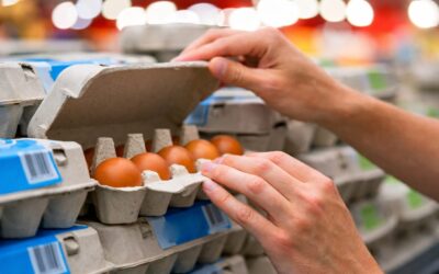 Alertă sanitară în SUA: 1,59 milioane de cutii de ouă retrase de la vânzare din cauza riscului de Salmonella