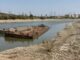 Canicula și seceta aduc pierderi de miliarde de euro în agricultură, energie și transport