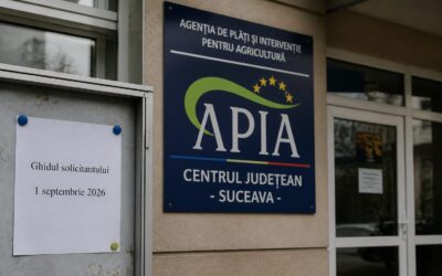 Fermele de bovine și suine primesc ajutoare de aproape 66 de milioane de euro din 1 septembrie 2026