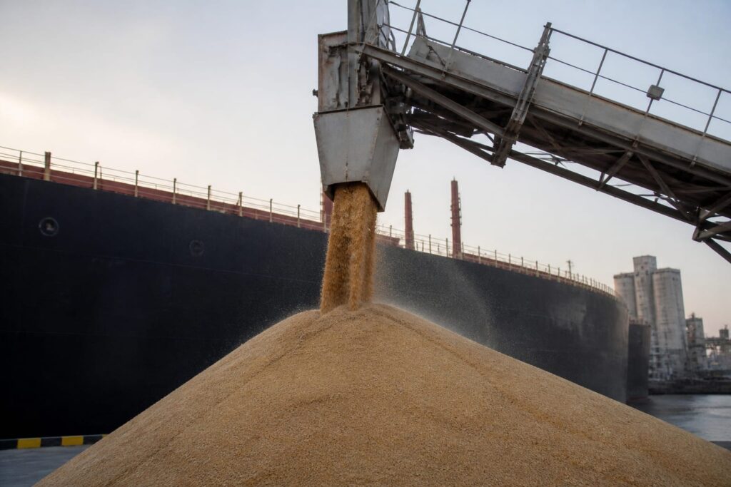 India liberalizează exportul de grâu după o recoltă estimată la 120 de milioane de tone