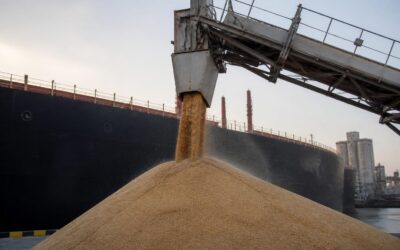 India liberalizează exportul de grâu după o recoltă estimată la 120 de milioane de tone