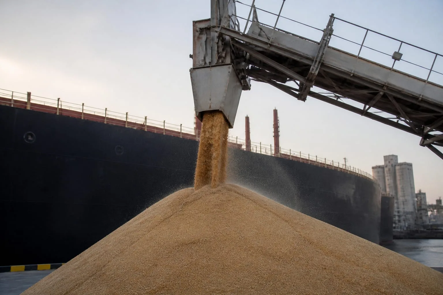 India liberalizează exportul de grâu după o recoltă estimată la 120 de milioane de tone