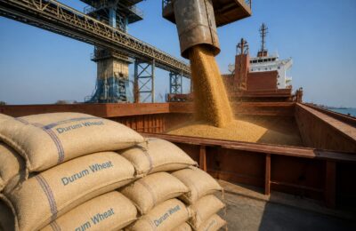 India reia exporturile de grâu după o recoltă record de 120,6 milioane de tone