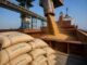 India reia exporturile de grâu după o recoltă record de 120,6 milioane de tone