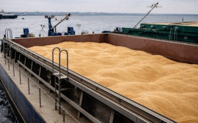 Tranzitul pe Canalul Sulina va fi accelerat pentru transporturile agricole din Ucraina