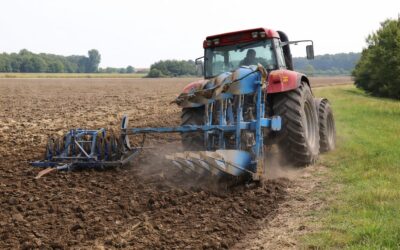 Plata subvențiilor agricole depinde de o rectificare bugetară de un miliard de lei