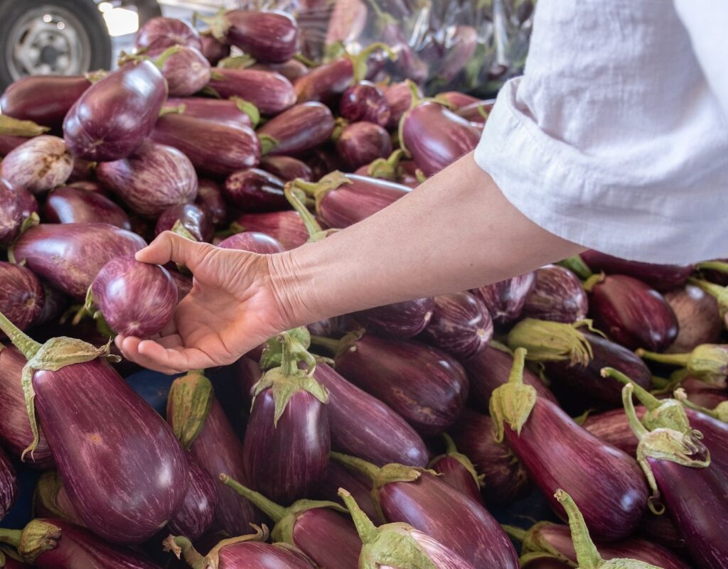 Vinetele se vând cu minimum 3 lei/kg în sudul Oltului. Recolta este la jumătate față de 2025