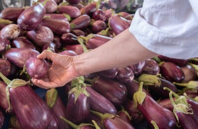 Vinetele se vând cu minimum 3 lei/kg în sudul Oltului. Recolta este la jumătate față de 2025
