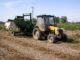 Producția de cartofi a României poate depăși 1.500.000 de tone, dar importurile rămân ridicate