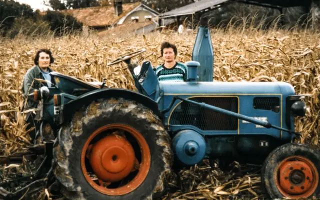Ajutoare naționale tranzitorii pentru agricultori