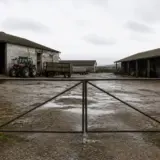O curte de fermă pustie și noroioasă, văzută prin porți metalice închise