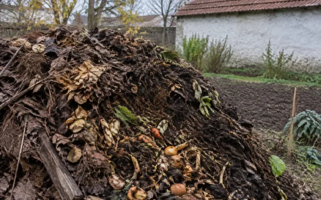 Compost matur pentru straturile de toamnă