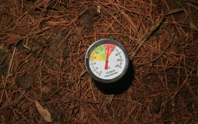 Termometru pentru compost pentru legume