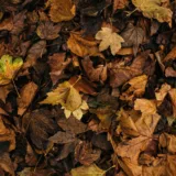 Compostarea resturilor vegetale înaintea iernii