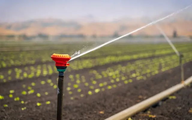 Irigarea culturilor agricole prin aspersiune