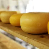 Lactate pregătite pentru export