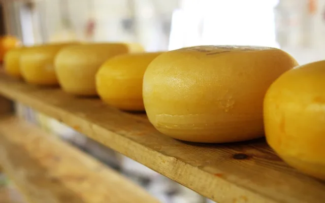 Lactate pregătite pentru export