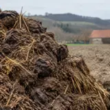 Grămadă pentru fertilizare organică