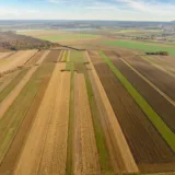 Terenuri agricole pentru finanțarea agriculturii