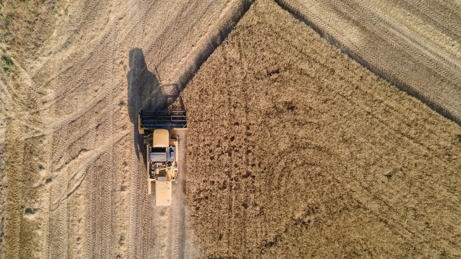 Firme agricole cu datorii
