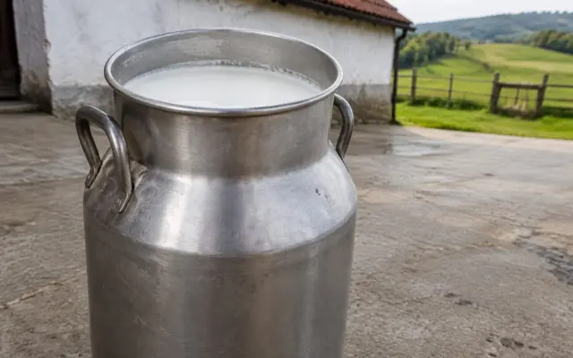 Bidon metalic cu lapte ecologic certificat