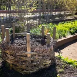 Recipient de compostare în grădină