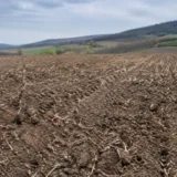 Teren arabil afectat de secetă