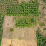 Preț teren agricol fragmentat