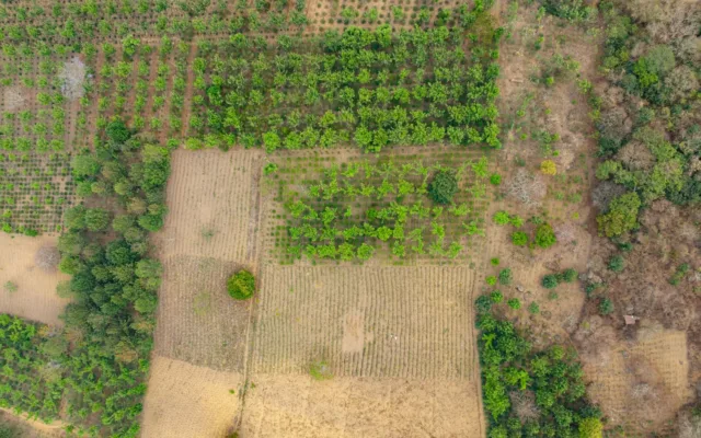 Preț teren agricol fragmentat