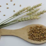 Boabe și spice de grâu