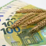 Prețul grâului în moneda europeană
