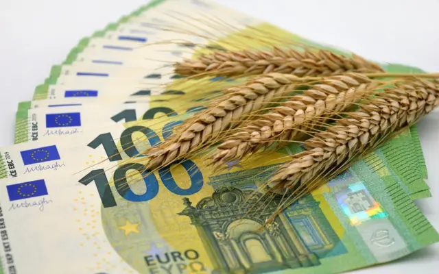 Prețul grâului în moneda europeană