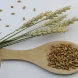 Spice și boabe de grâu