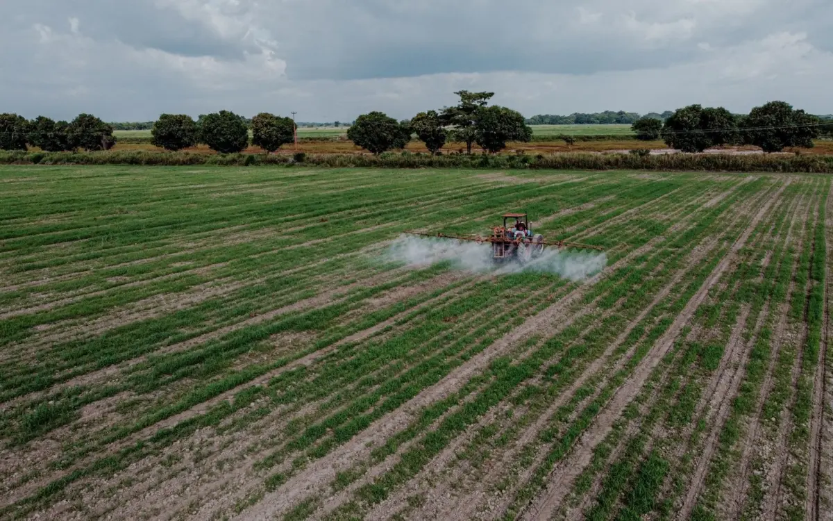 Stropirea culturilor cu pesticide