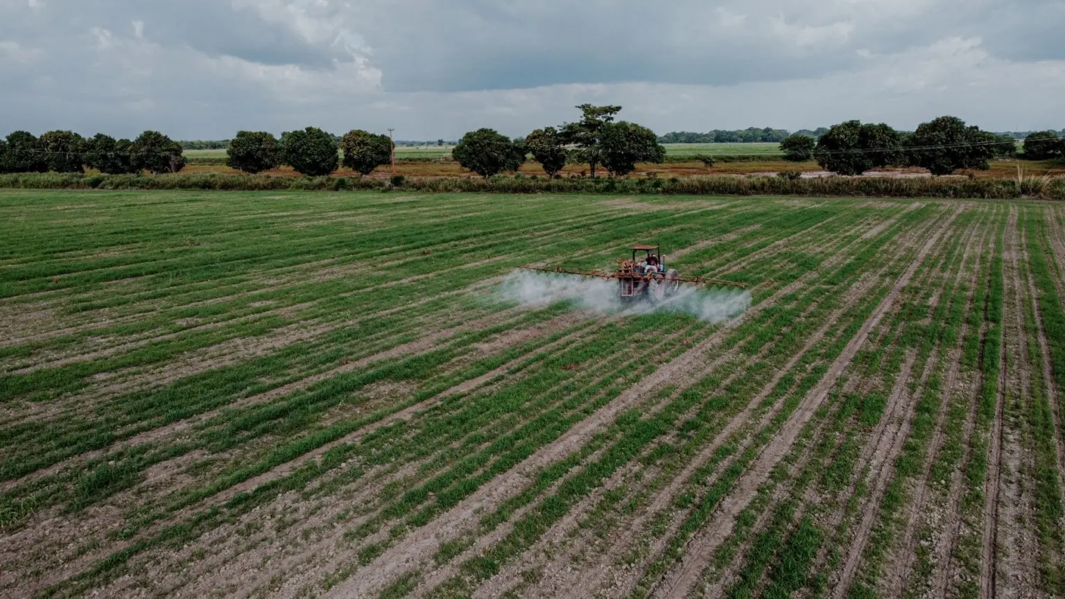 Stropirea culturilor cu pesticide