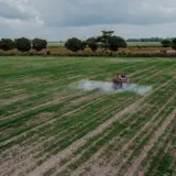 Stropirea culturilor cu pesticide