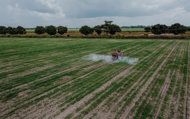 Stropirea culturilor cu pesticide