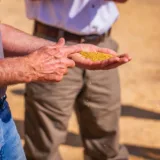 Semințe de sorg în palma fermierului