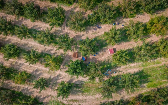 Livadă pentru subvenții agricultură ecologică