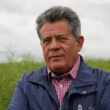 Lungu și tehnologia culturii de rapiță