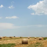 Valoarea producției agricole pe câmp